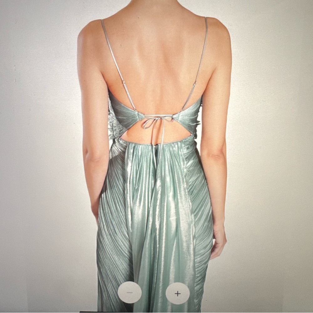 Maria Lucia Hohan Siona Pleated Dress - Picture 4 of 12